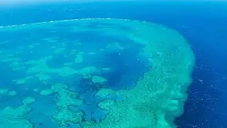 Hans Dahlgren - The Great Barrier Reef