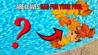 How bad are leaves for your pool?