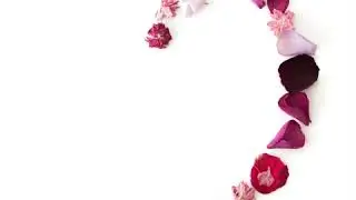 Confetti Petal Heart