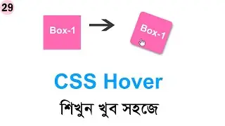 #29 CSS Hover Effects | Creating Interactive Elements | CSS Bangla Tutorial Series