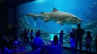 Something BIG #ai #aivideo #video #aquarium