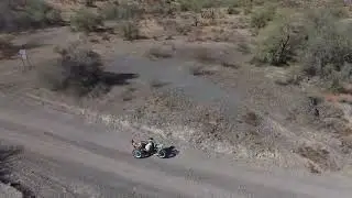 Wild One 20:20 FX Fat