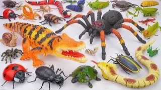 🦎toy asmr🦎ZURU Robo Alive Insect Compilation ASMR | RC Crocodile, Spider, Snake, Worm (No Talking)