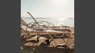 Куда-нибудь к морю