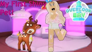 Making My First Shiny Pet In OVERLOOK BAY