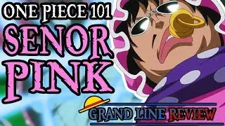 Senor Pink Explained (One Piece 101)