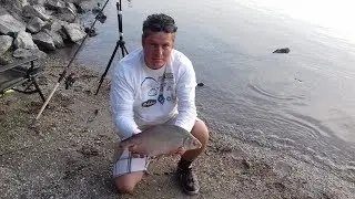 Egy &eacute;jszaka a Nagy Dun&aacute;n feederrel
