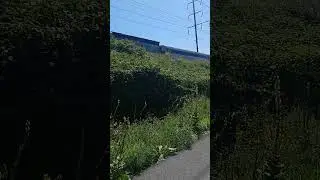 An NJ transit train going past on the Delair Bridge