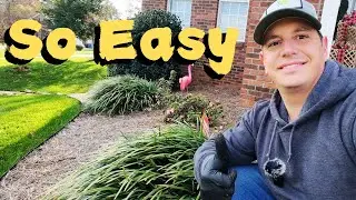 Easy 5-Minute Hack to Clean Up Your Liriope | Simple Lawn Care Tips | DIY Lawn Coach