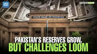 Pakistan&rsquo;s Forex Reserves Rise But Momentum Slows | SBP Adds $4.2bn in Reserves in 2025 | Dawn News