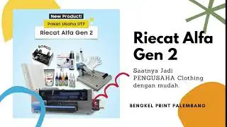 Riecat Alfa Gen 2