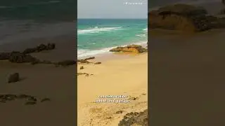 Los brit&aacute;nicos abandonan Espa&ntilde;a y empiezan a llegar en masa a las nuevas Canarias