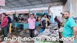 എല്ലാം ഒരു കുടക്കീഴിൽ | polakkandam market | fish market | fish curry | fish Nirvana | fish biryani
