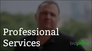 Professional Services. Public Sector is Outsourcing