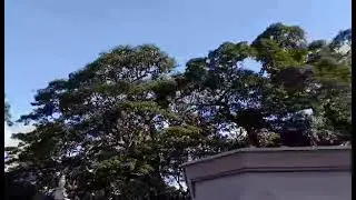 Daily LIFE RESPECT SANA MAPANSIN