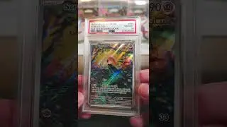 2023 Pokemon Paradox Rift ETB Scream Tail Promo PSA 10 #pok&eacute;moncards