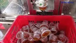 Cup Sealer | Gulab Jamun Packing, Automatic Rotary Cup Filling and Sealing Machine ​RCS-500