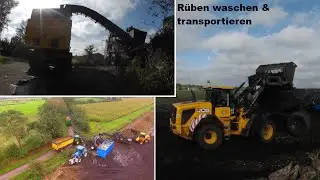 Rüben waschen & Abtransportieren|- Oster-Ohrstedt