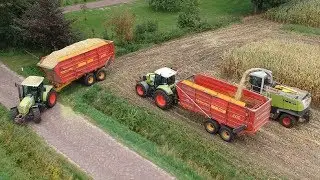 Harvesting maize with Claas & Fendt
