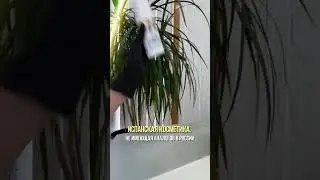 В нашей клинике можно приобрести косметику компании HERBITAS, которая не имеет аналогов в России.