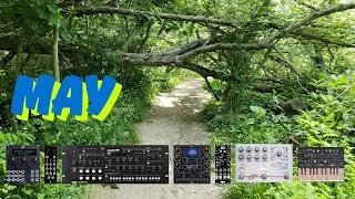 Synth and Eurorack Generative Drone (Microfreak, Wavestate, Warp, Disting NT, Desmodus, Sloths)