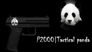 csgo skin p2000|Tactical panda