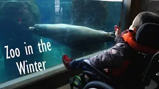 Utah Hogle Zoo - Special Needs Family Vlog
