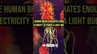 Amazing Biology Facts That Sound Fake but Are True! 😲