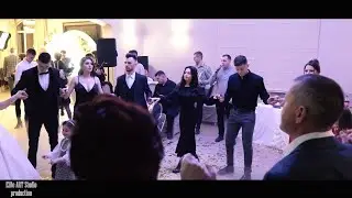 Inceput de nunta frumoasa  Belgia
