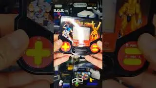 Mortal Kombat Tiger!