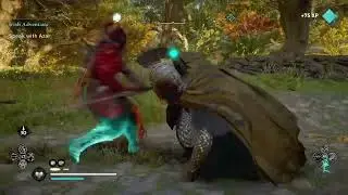 Assassin creed Valhalla