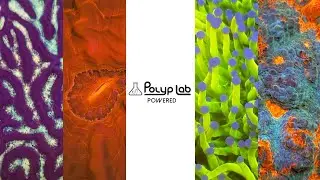 POLYPLAB - MARCA IMPORTADA PARA O BRASIL PELA ACQUA DISTRIBUIDORA