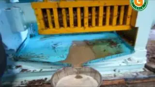 3 TPD Oil Expeller, Oil Extraction Machine, Screw Oil Press, Oil Making Machines