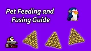 RotMG Tutorial - Pet Fusing and Feeding!