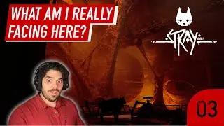 The Zurks may be more than what I thought | Stray - Part 3
