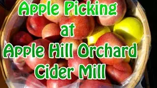 Apple Hill Orchard Cider Mill Review