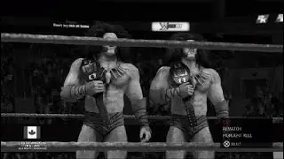 Colossal Cavemen vs. The Vachons Stampede International Tag Team Championships