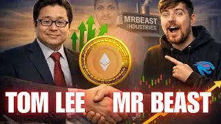 Mr Beast and Tom Lee partner. Crypto Macro News नेपालीमा सुन्नुहोस्