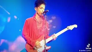 Prince - Colonized Mind - Rotterdam 10/07/2011 💜💜