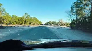Extensive Frost in North Central Florida...January 19, 2026