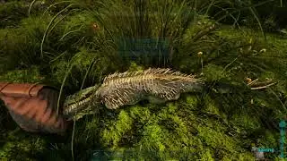 ARK: Survival Evolved