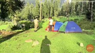 Daksum Forest Walkthrough ASMR | Kashmir Nature Sounds | Relaxing 4K Walking Tour