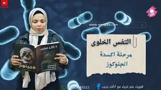 2ثانوي أكسدة الجلوكوز _ التنفس الخلوي _ التنفس الهوائي واللاهوائي ومسائلهم #تانية_ثانوى 2ث