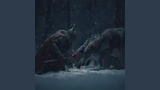 Rau&eth;r R&oacute;s &iacute; Vetrn&oacute;tt | Red Rose in the Winter Night