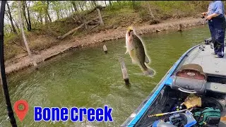 Bone Creek Bass Fishing (Tourney Vlog #6)