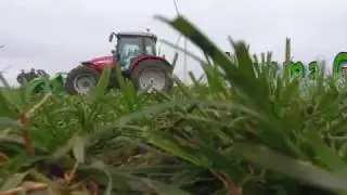 Veenma Green Cutter