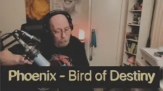 Phoenix   Bird of Destiny