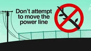 Downright Dangerous - Beware of Downed Power&nbsp;Lines