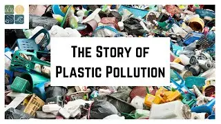 The Story of Plastic Pollution