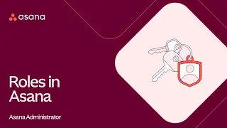 How to determine access roles in Asana for admins